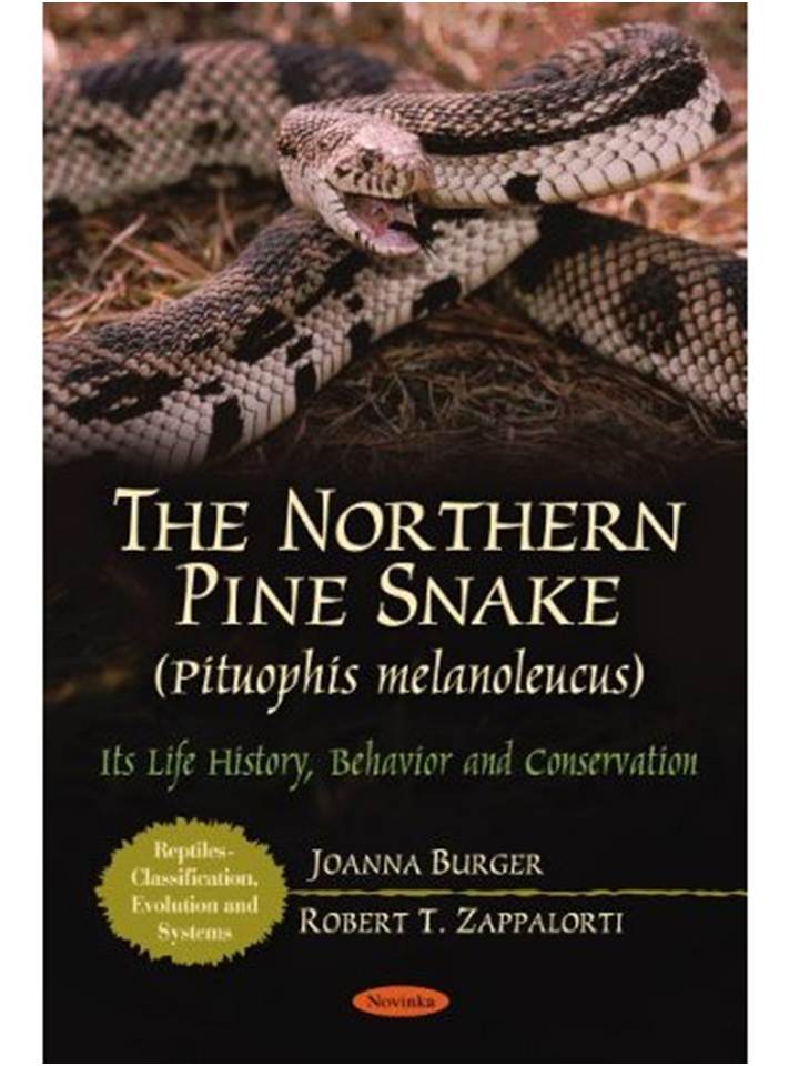 pine snake