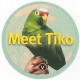 meettiko