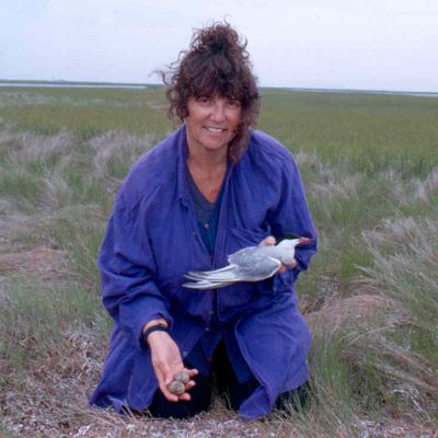 Joanna Burger with Tern