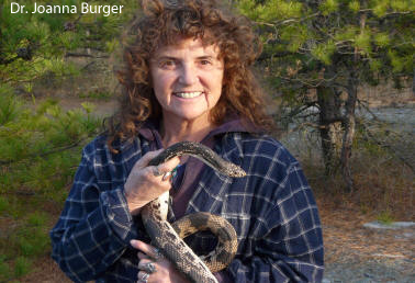 dr joanna burger v1