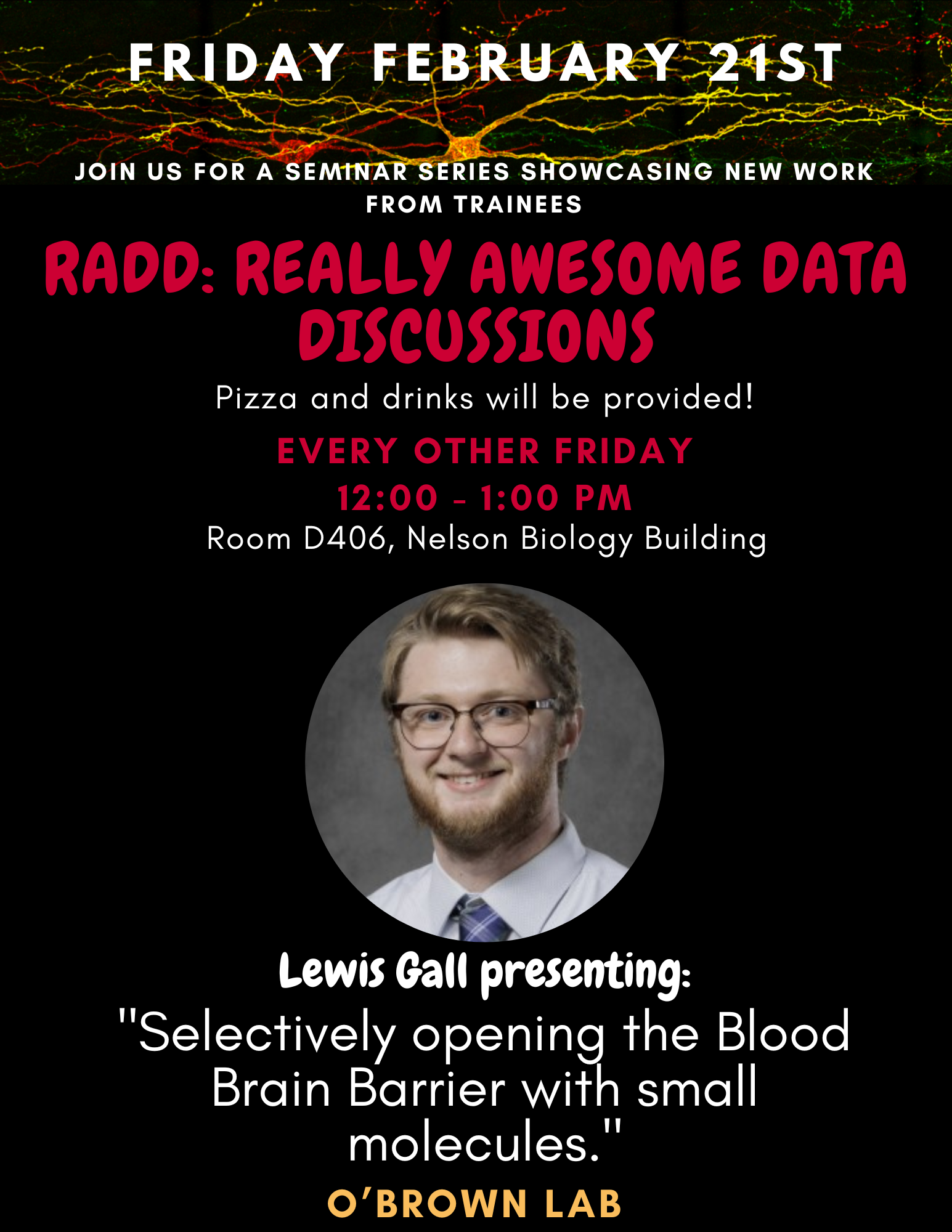 RADD_Seminar-Lewis.jpeg